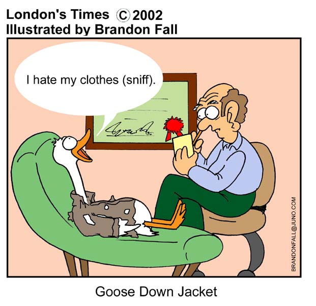 fall GOOSEDOWNJACKET5 jpg