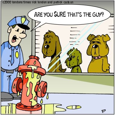 patrick_hydrant.jpg